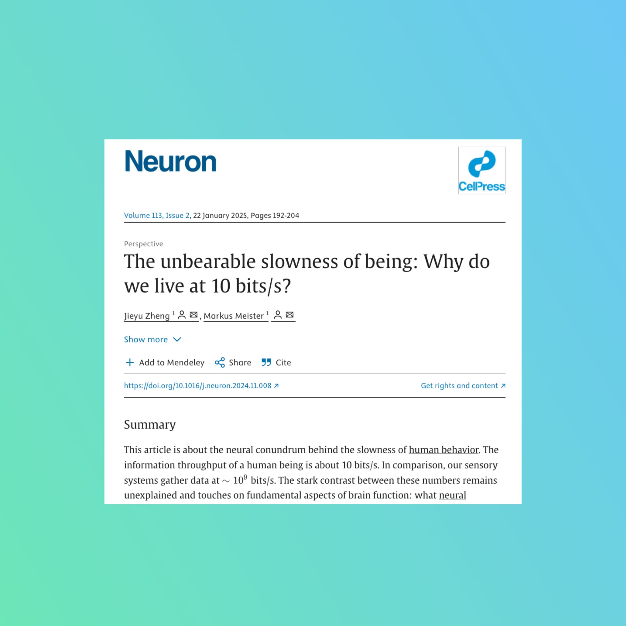 The 10-Bit Brain: Why Humans Process at Snail Speed